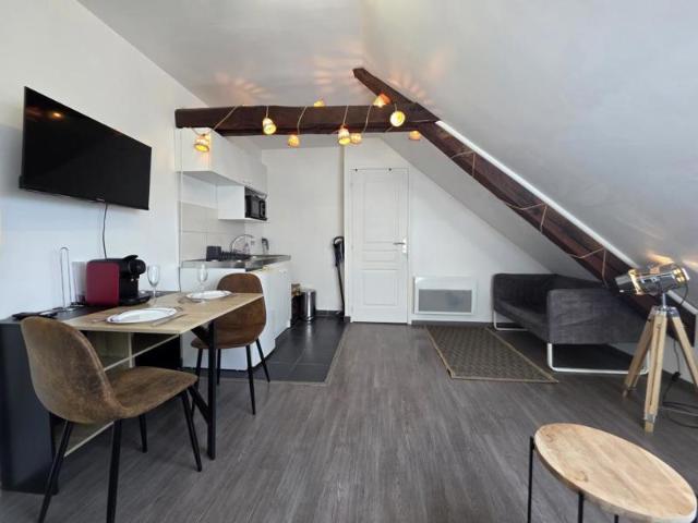 Studio meublé 21m2 Rue du Docteur Thomas