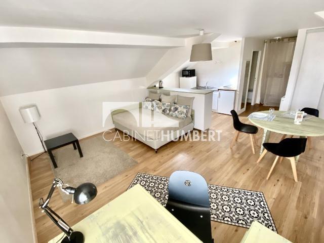 STUDIO MEUBLE 31M2 14 RUE TREFILERIE PROCHE UNIVERSITE COMMERCES TRANSPORTS