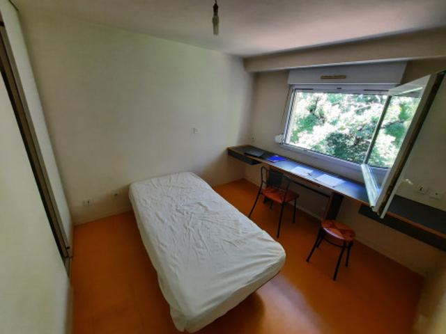 Studio nantes facultés