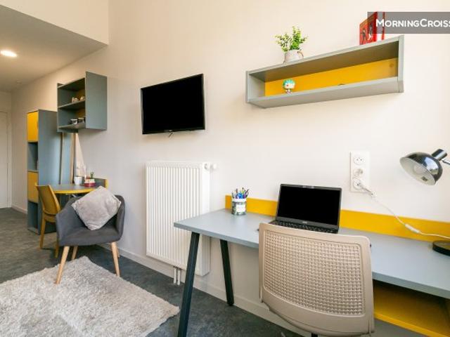 Studio neuf avec mezzanine