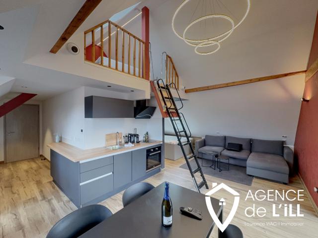 Studio spa entièrement meublé à Sainte Croix en Plaine