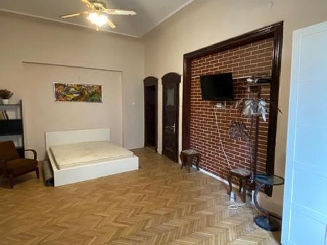 Studio splendid ultracentral piata Pache