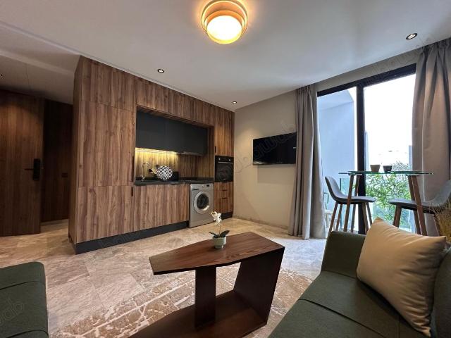 Studio palmier pour la location