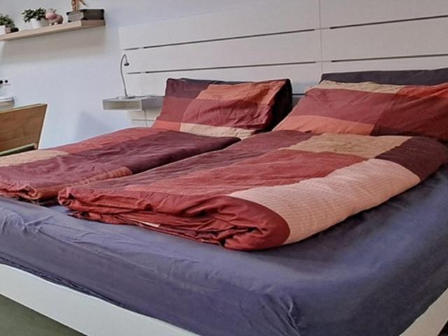 Studio Peizerweg in Groningen