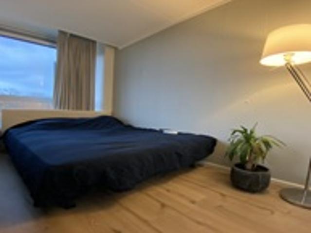 Studio Pelikaanstraat in Assen