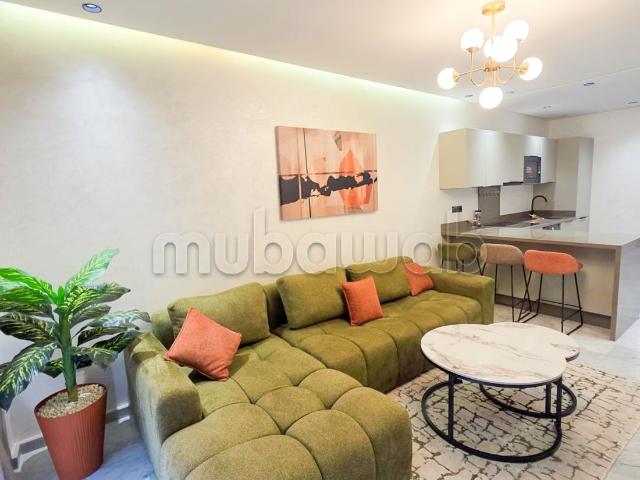 Studio premium Palmier Contact direct proprio