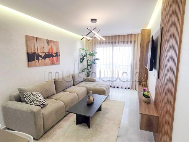 Studio premium Palmier Contact direct proprio