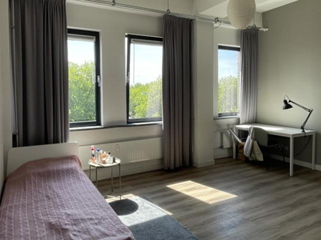 Studio Prins Willem Alexanderlaan in Apeldoorn