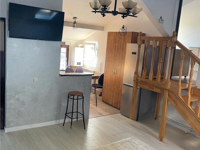Studio, priveliste frumoasa, pet friendly, loc parcare, Schei,Brasov