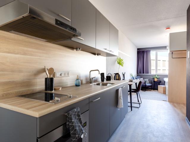 Studio Reykjavikstraat 346 3543 KB Utrecht