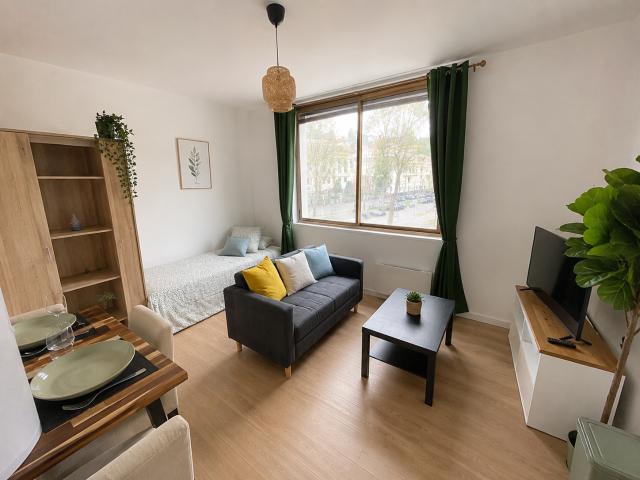 Studio refait à neuf Secteur Cours Fauriel