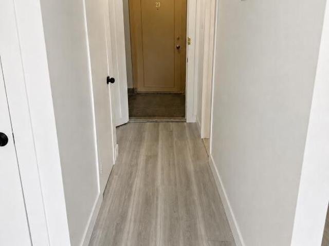 Studio rénové à louer fully renovated for rent NDG