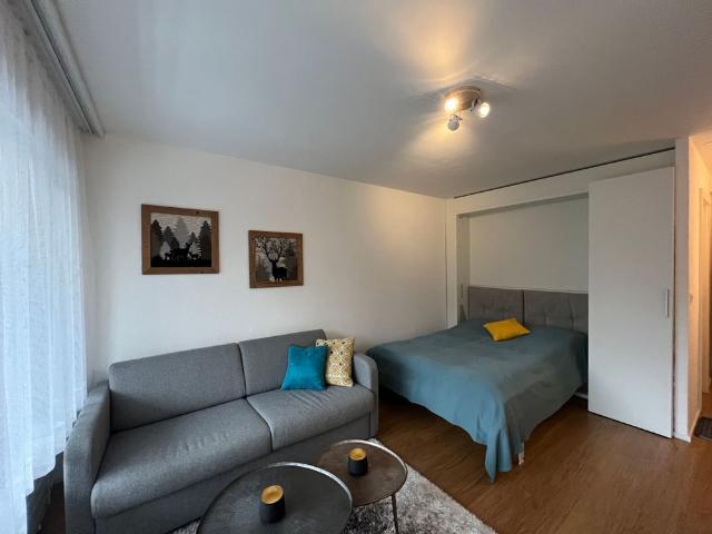 Furnished apartment with 1.5 rooms for rent in Crans Montana 27 m²