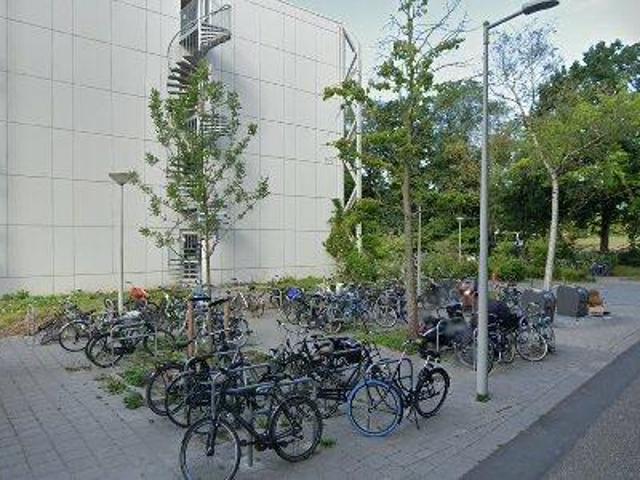 Studio Ringslangpad in Amsterdam