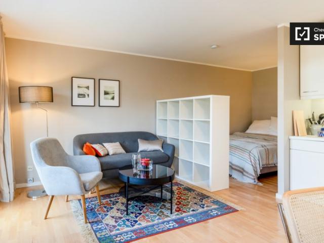 Studio Wohnung zu vermieten in Maxvorstadt, München