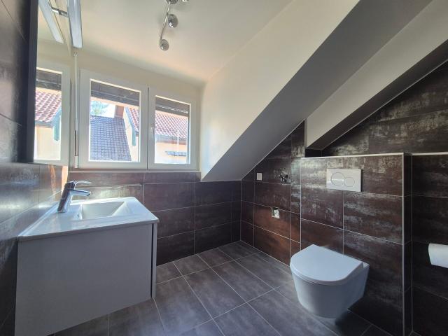 Studio with 1.5 rooms for rent in Moudon | dreamo. Ch