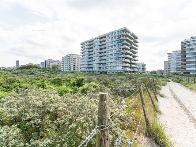 Studio Te koop De Panne