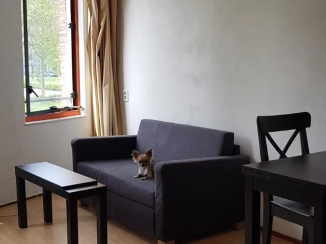 Studio te huur