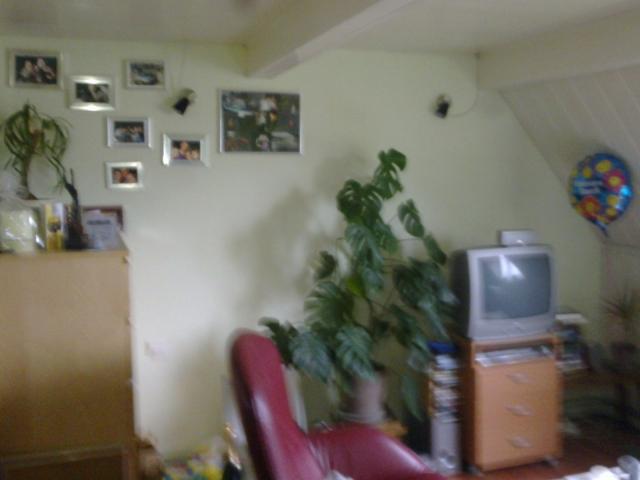 Studio te huur in Haarlem