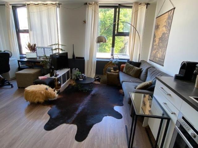 Studio te huur Ruiterskwartier 115 n in Leeuwarden voor € 760