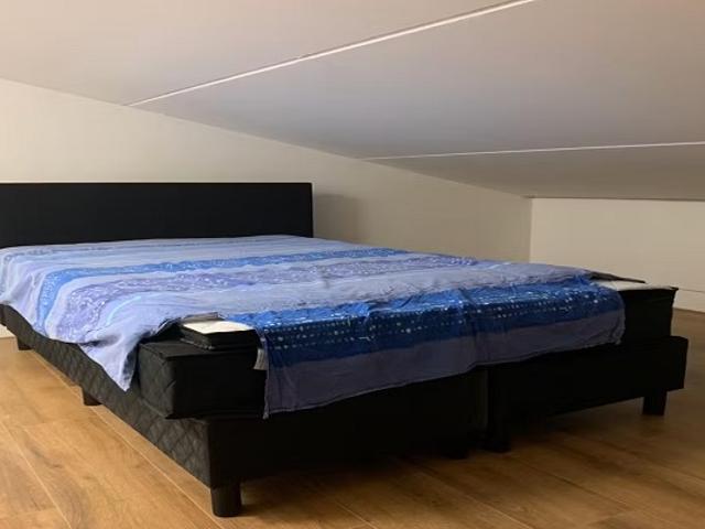 Studio Van der Woudendijk in Den Haag