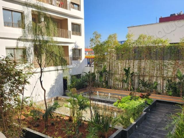 Studio Vide Luxe 46m2 à Californie bd Taddart