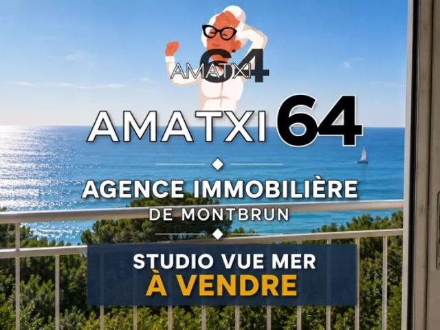 STUDIO VUE MER BIDART AU CALME