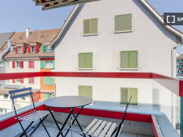 Studio zu vermieten in Oerlikon, Zürich