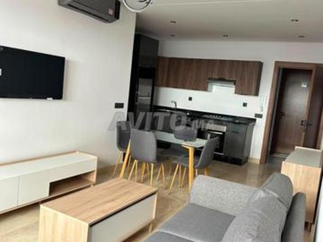 Studios à louer – superficies disponibles