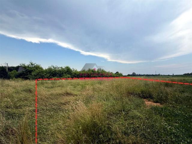 Studzienicka 519 m², Pszczyna