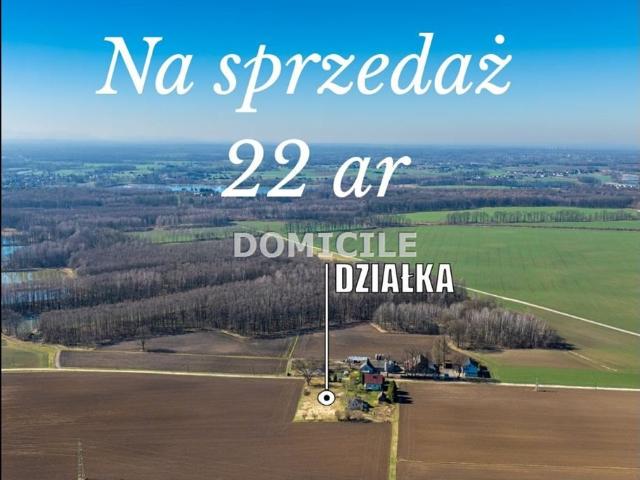 Studzionka, 2 200 m2