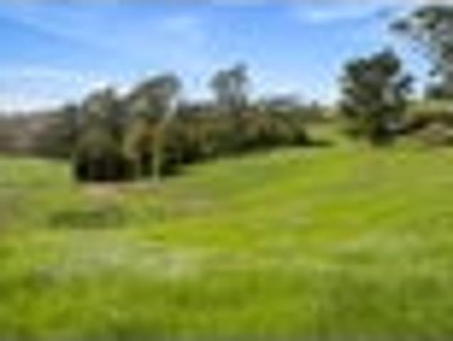 Stunning 1ha block available in Waitoki