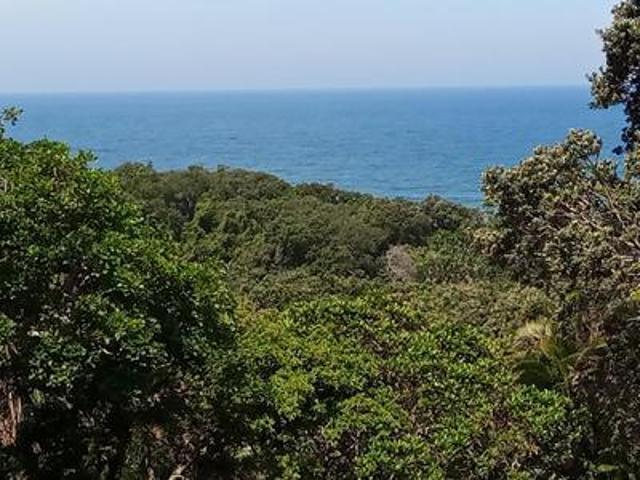 stunning vacant land