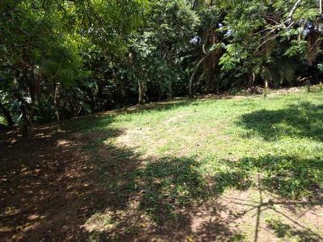 stunning, well priced vacant land