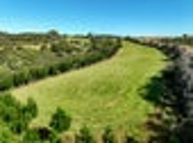 Stunning Lifestyle Block with Soul & Views