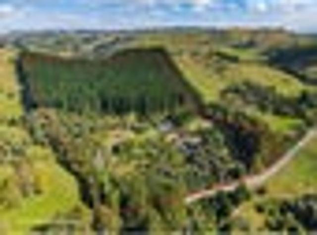 Stunning lifestyle privacy, lake and pines