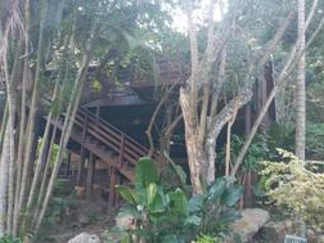 stunning log cabin tree house