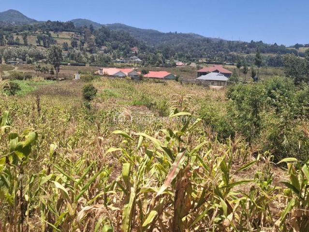 Stunning Quarter Acre Plot