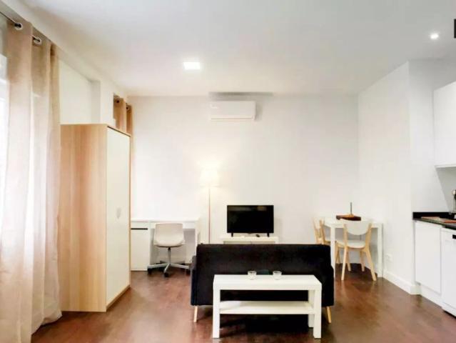 Stylish and new studio apartment for rent in Ciudad Universitaria Bellas Vistas