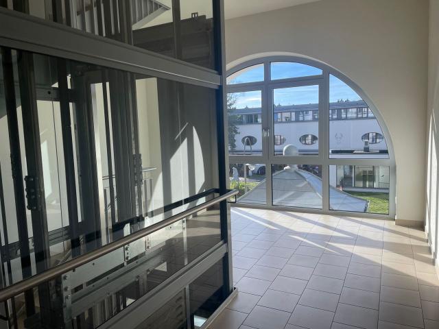 Stylish apartment with balcony in the villa district of Weißer Hirsch, Dresden Amsterdam Apartments for Rent