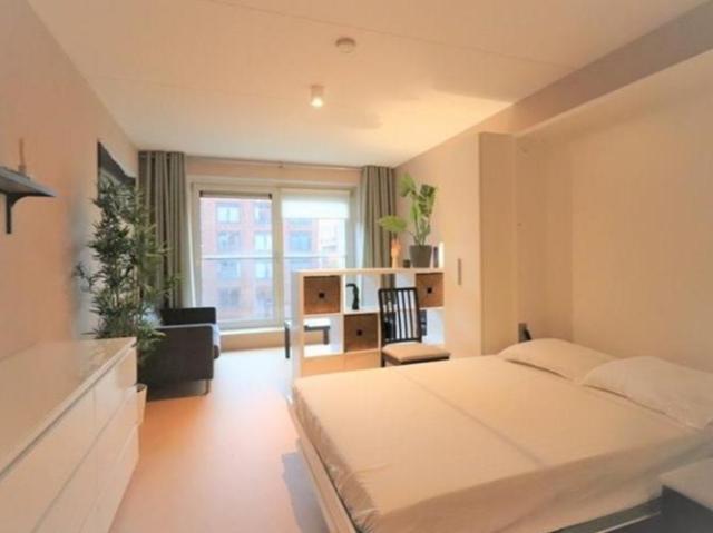 Stylish Fully Furnished Studio in Amsterdam Oost