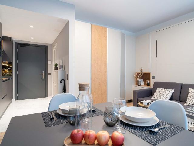 Stylish Furnished Apartment in the Center of Bern, Bern Amsterdam Apartments for Rent