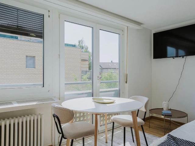 Stylish Furnished Studio Apartment in Basel, Birsfelden Amsterdam Apartments for Rent