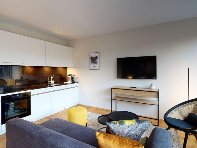 Stylish Premium Loft in Zurich Altstetten, Zurich Amsterdam Apartments for Rent