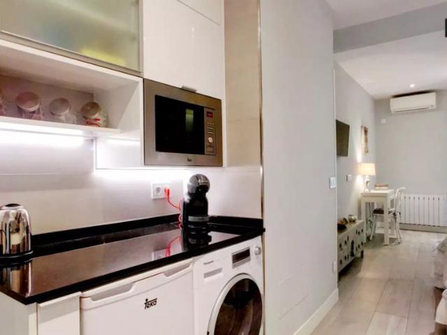 Stylish studio apartment for rent in Centro