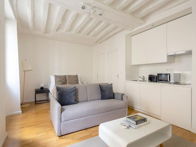 Stylish Studio in the Heart of Paris, Paris Amsterdam Apartments for Rent