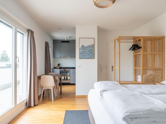 Stylish 1.5 room apartment with terrace near Kannenfeldpark, Basel Amsterdam Apartments for Rent