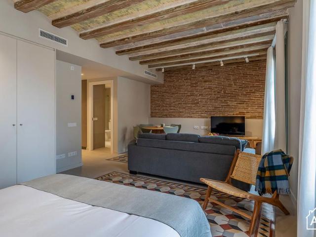 Stylish 1 Bedroom Apatment next to Plaza Real