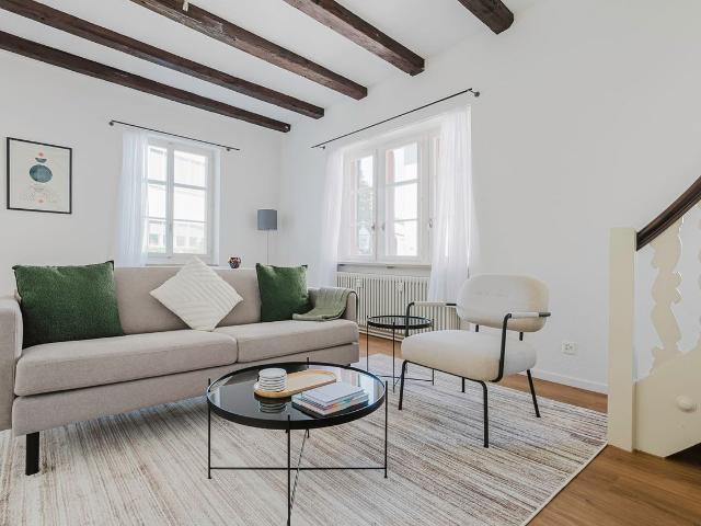 Stylish 1 Bedroom Apartment in Basel Vorstaedte, Basel Amsterdam Apartments for Rent
