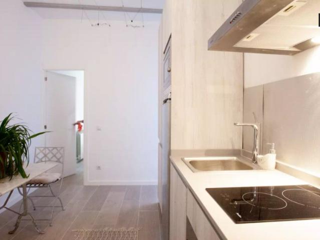Stylish 1 bedroom apartment with terrace for rent near Metro in Guindalera
